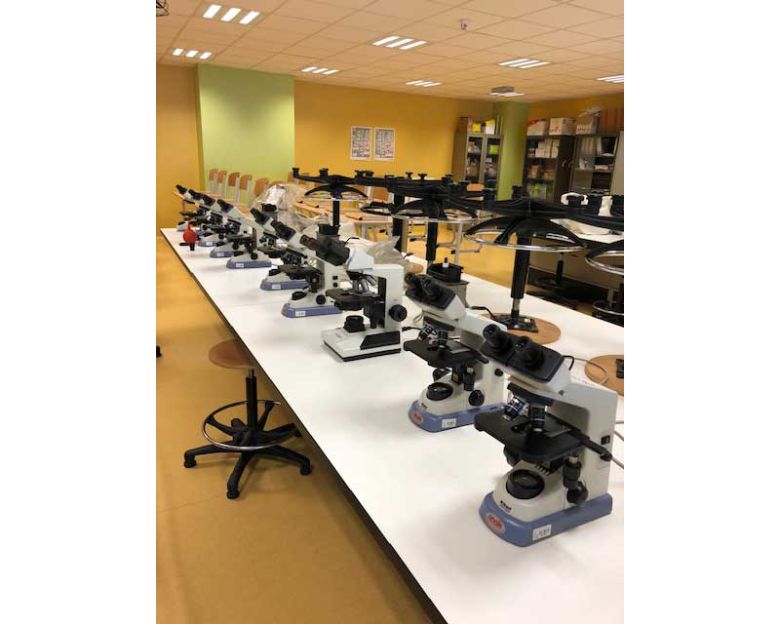Microscopes école